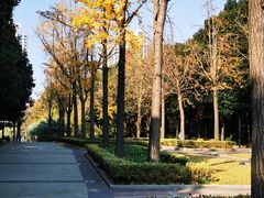 -苏州河梦清园环保主题公园