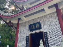 -老君山