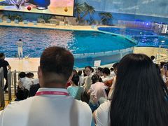 -泉城欧乐堡海洋极地世界