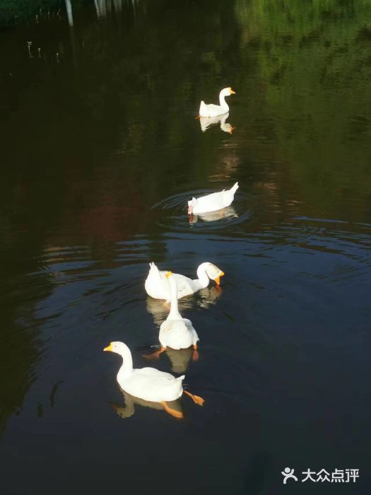 厦门国家会计学院图片