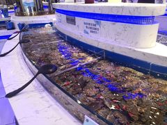 -澜悦港海鲜体验主题餐厅