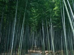-南北湖风景区