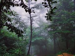 -沂蒙山旅游区云蒙景区(蒙山国家森林公园)