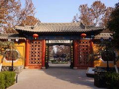 -大槐树寻根祭祖园