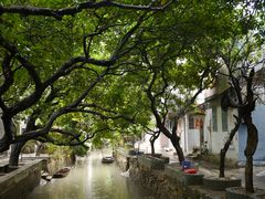 小洲村-小洲村