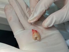 -浙江大学医学院附属口腔医院湖滨（延安）院区