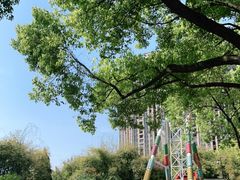 -堤角公园
