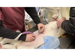 -美联众合动物医院·24h京西诊疗中心