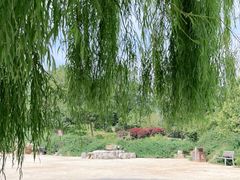 -北京西山国家森林公园