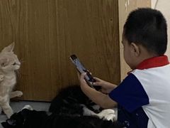 -Heymao猫咖.咖啡厅(东门店)