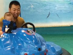 -蒙特利亲子乐园