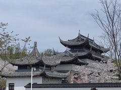 -苏州上方山国家森林公园