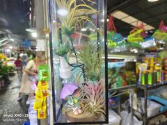-曲阳花鸟市场(曲阳路店)