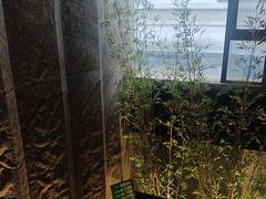 -荷栖小院·品质江西菜(红谷滩店)