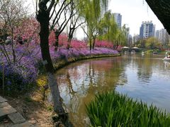 -圩墩遗址公园