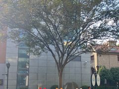 -思南书局(复兴中路店)