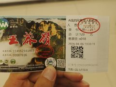 -王莽岭风景区