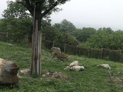 -西安秦岭野生动物园