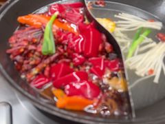 -阳阳老火锅(小南门店)