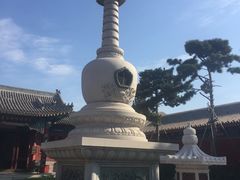 -天津大悲禅院