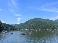 -黔灵山公园