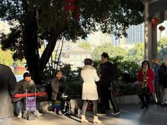-荔湾湖公园