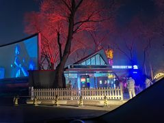 -枫花园汽车电影院(朝阳公园店)
