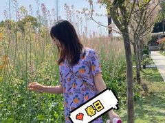 -洪湖家庭农场·团建·露营·会议