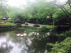 -三嚥阁 La Villa Restaurant
