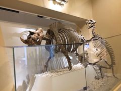 -国家自然博物馆