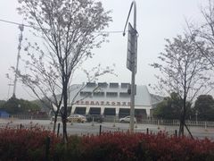 -华中科技大学光谷体育馆