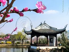 -无锡蠡湖国家湿地公园-蠡园