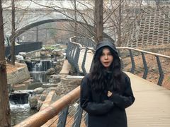 -白水寺森林公园