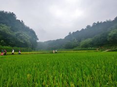 -韶山毛泽东同志故居