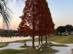 -南京银杏湖乐园