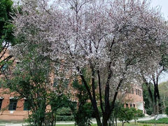 -四川大学(江安校区)