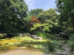 -上海滨江森林公园