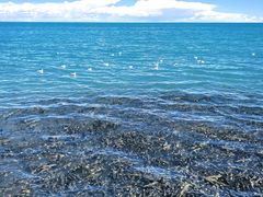 -青海湖国家重点风景名胜区