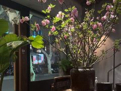 -Apollo·西班牙小酒馆(安福路店)