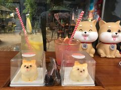 -柴犬高等学院·狗咖·柴犬售卖·宠物训练