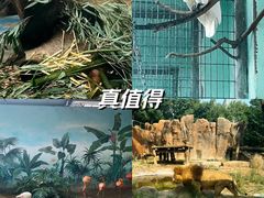 -成都动物园