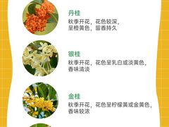 -名流健康高端体检中心·名宾门诊·健康管理