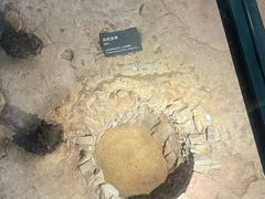 -南越王博物院(王宫展区)