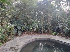 游乐设施-龙山酒店温泉