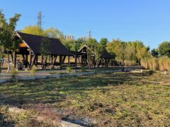 -永定河休闲森林公园