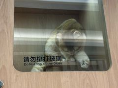 -土山湾博物馆