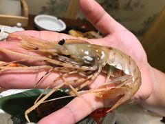 -贵木日本料理·铁板烧(新地假日广场店)