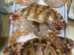 -龙泉人椰子鸡.糟粕醋.海南菜(三亚旗舰店)