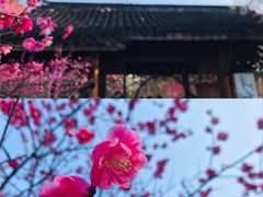 -杭州植物园