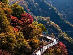 -少华山国家森林公园